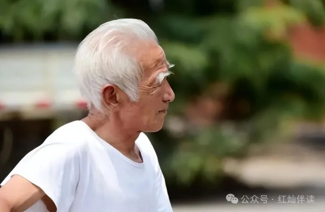 身体缺少啥会长白发？注意这4个方面，白发或许能黑回来