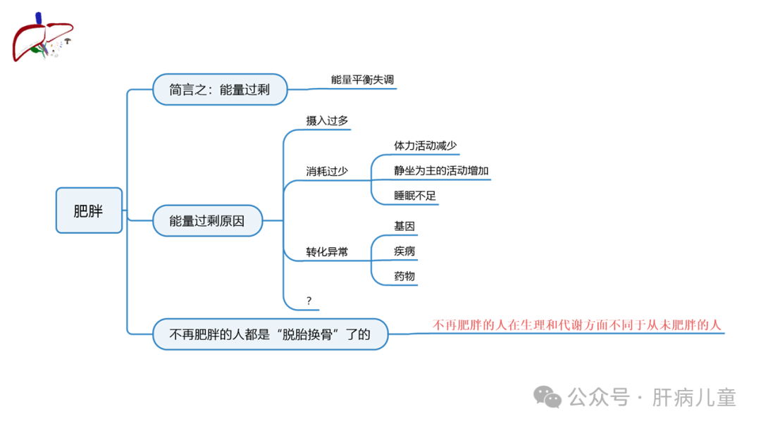 健康减脂，治愈脂肪肝，核心知识