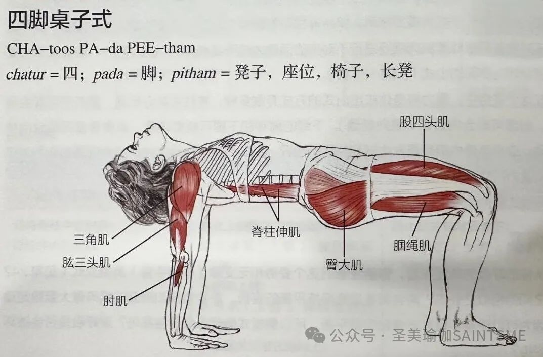 每天睡前10min真的把背练直了，还能治脸垮！