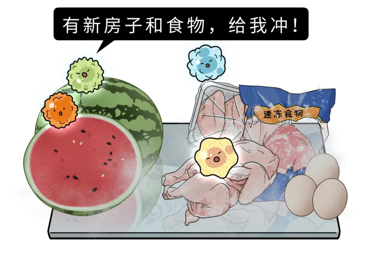 28岁女子确诊胃癌，提醒父母：冰箱久放的3种食物，及时扔掉