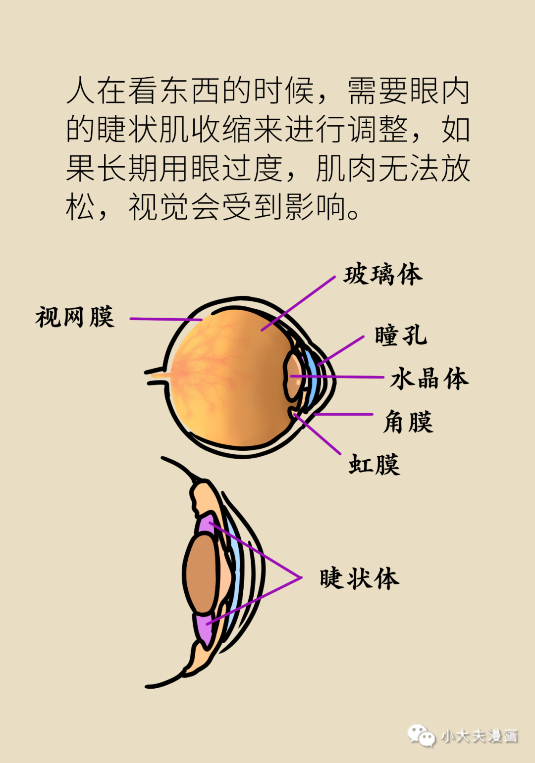 机不离手？你的眼睛伤不起！这些小技巧有效预防眼睛疲劳