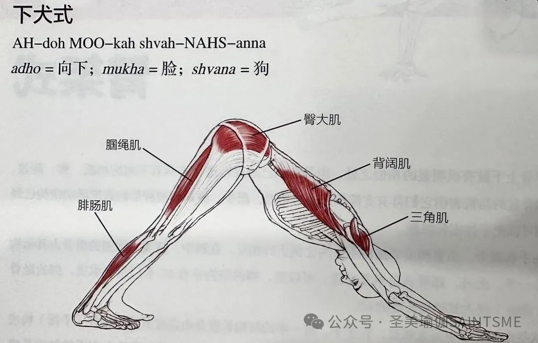 每天睡前10min真的把背练直了，还能治脸垮！