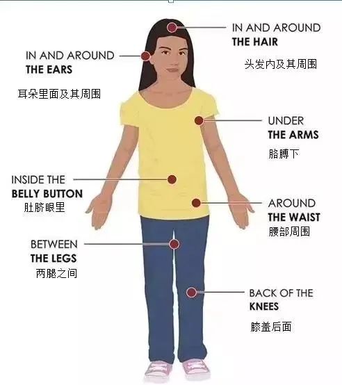 出行必看！！！户外防蛇虫宝典