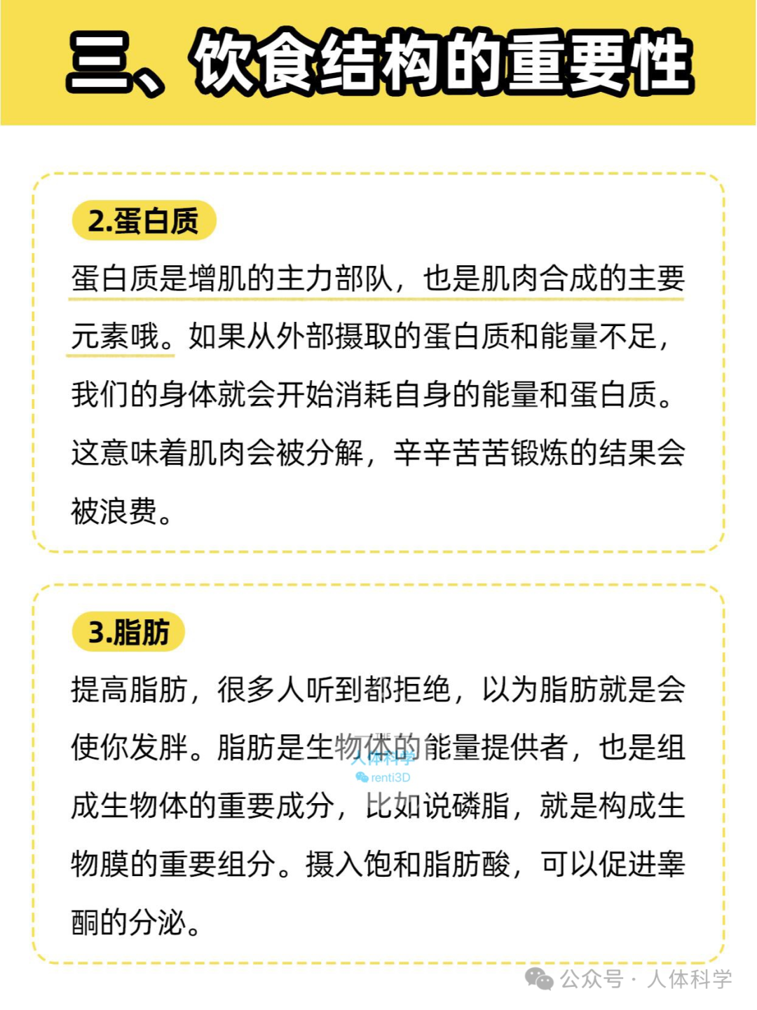 【增肌原理】你的身体需要先增肌还是先减脂？