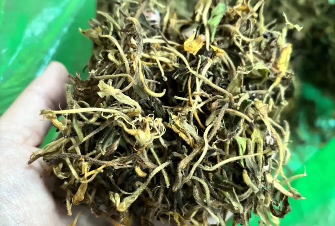 金银花：清热解毒第一花，花茶养生不可错过