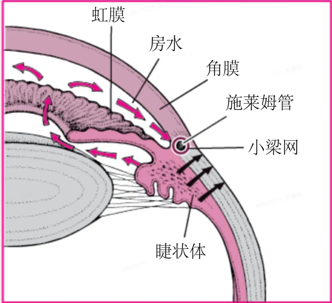 趴着午睡，是怎么毁掉你身体的