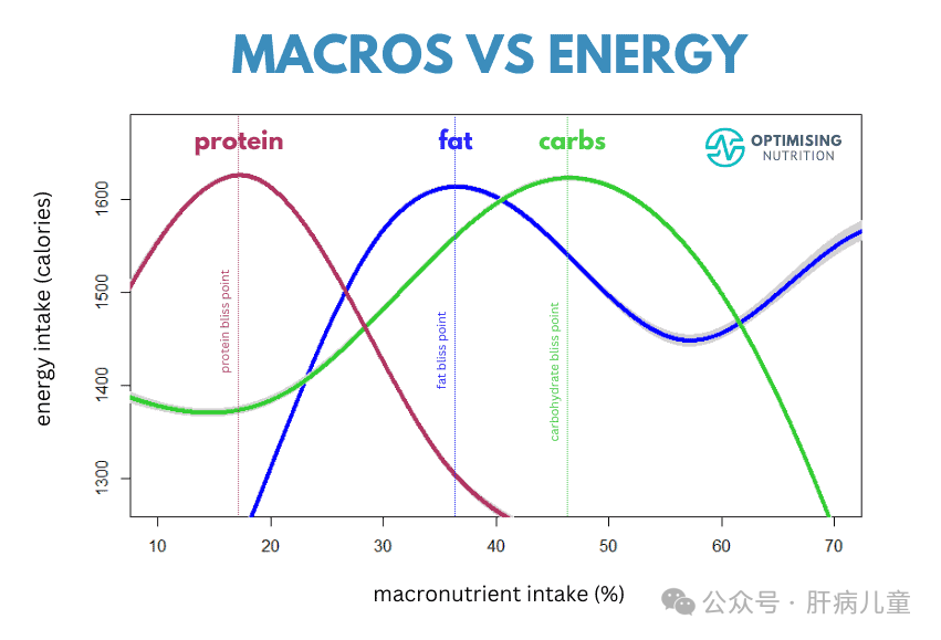 健康减脂，治愈脂肪肝，核心知识