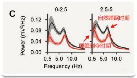 还敢熬夜吗？熬夜带来的这些伤害，都是完全不可逆的！