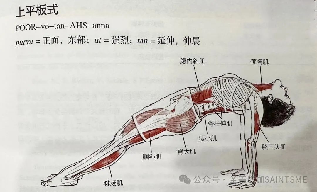 每天睡前10min真的把背练直了，还能治脸垮！