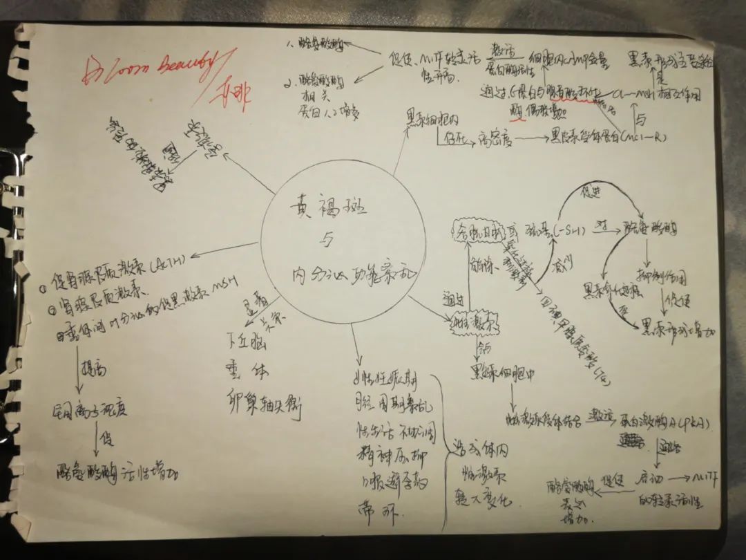 哪些因素导致了黄褐斑的产生？