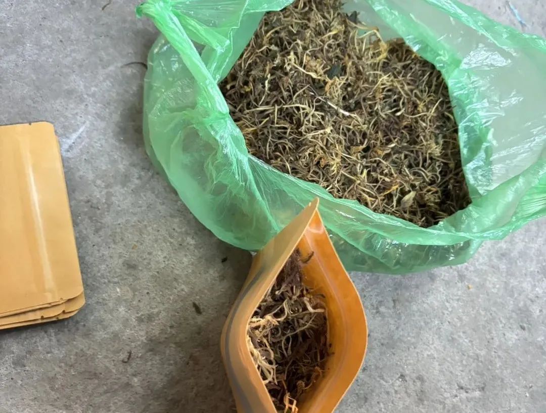 金银花：清热解毒第一花，花茶养生不可错过