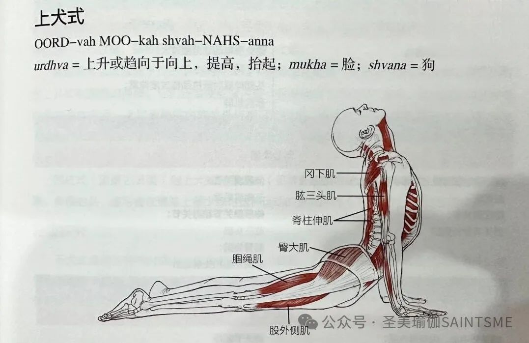 每天睡前10min真的把背练直了，还能治脸垮！